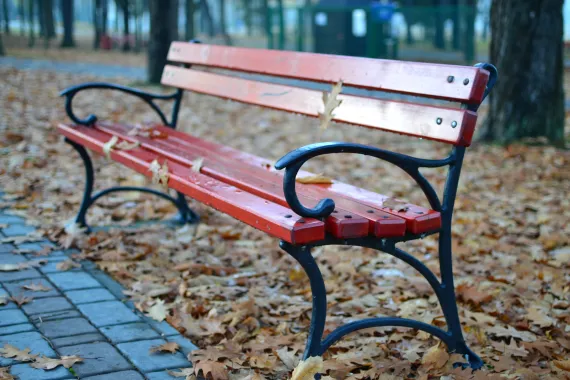 Bank Park Bench in Red